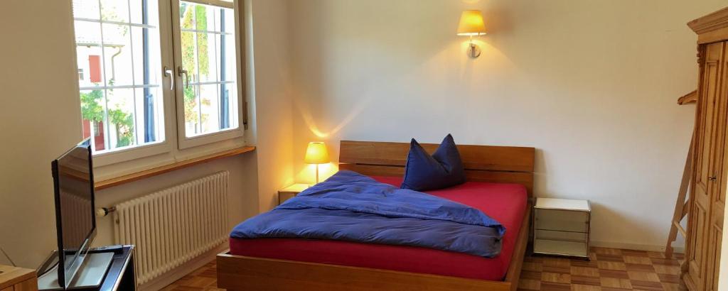 Schlafzimmer mit einem Bett in Blau und Rot in der Unterkunft B&B Tomsi in Pratteln