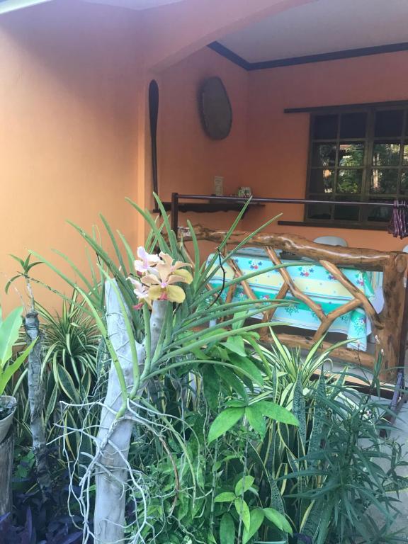 Ein Garten an der Unterkunft Chekesh Casa