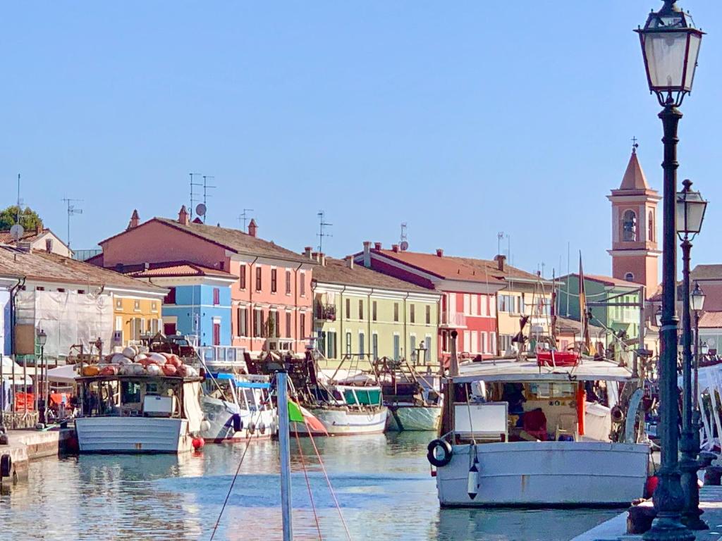 a group of boats docked in a harbor with buildings at Rosamare in Cesenatico