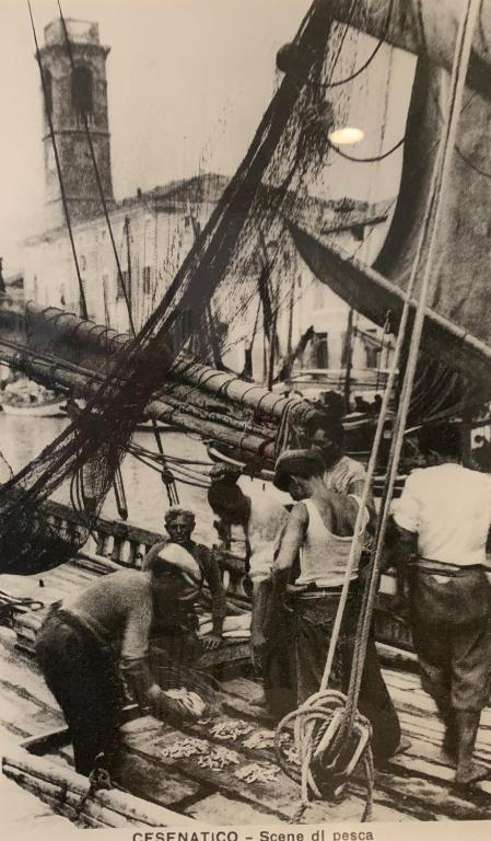 Fotografie z fotogalerie ubytování Rosamare v destinaci Cesenatico