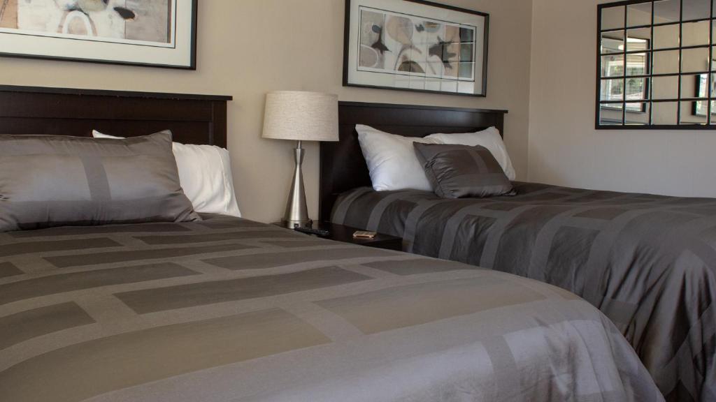 Mark III, INN & Suites photo