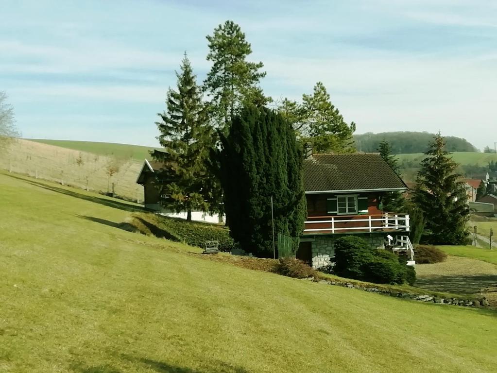 Příroda nedaleko bed and breakfast
