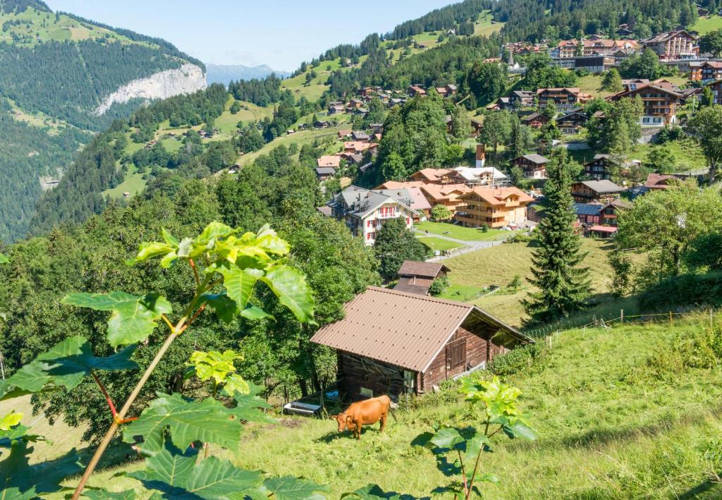 Příroda nedaleko apartmánu