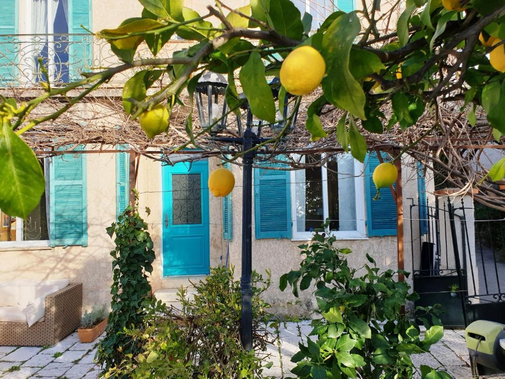 an orange tree in front of a house with a blue door at Villa Mia in Vence