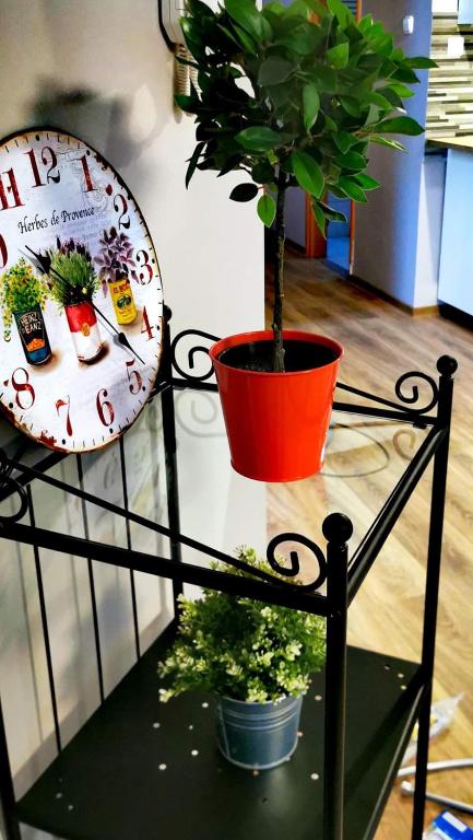 Fotografie z fotogalerie ubytování Pannonia Apartman v Ostřihomi