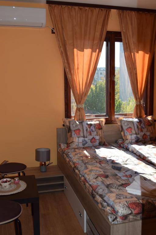 a bedroom with a large bed with a large window at Vesi's Rooms in Plovdiv