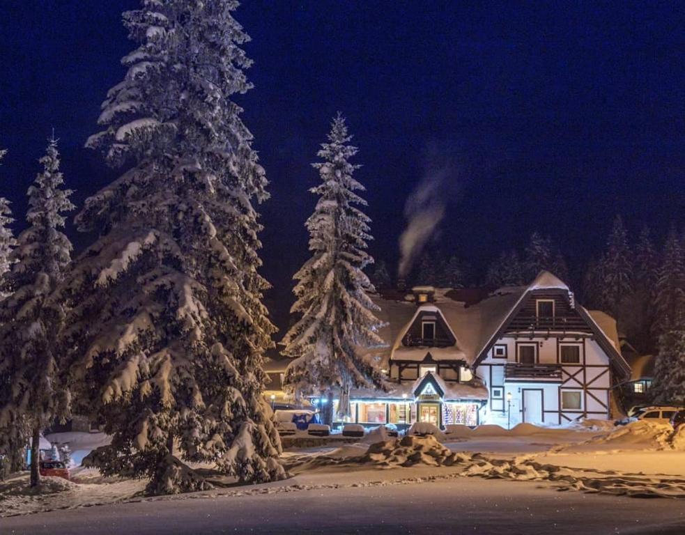 a house covered in snow at night with trees at Vila Grand Mitrovac in Mitrovac