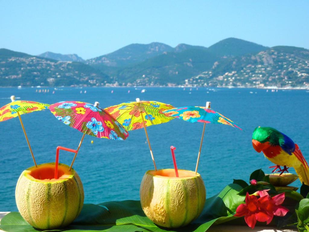 quelques noix de coco avec des parapluies et un oiseau dans l'établissement ToiTmer, à Cannes