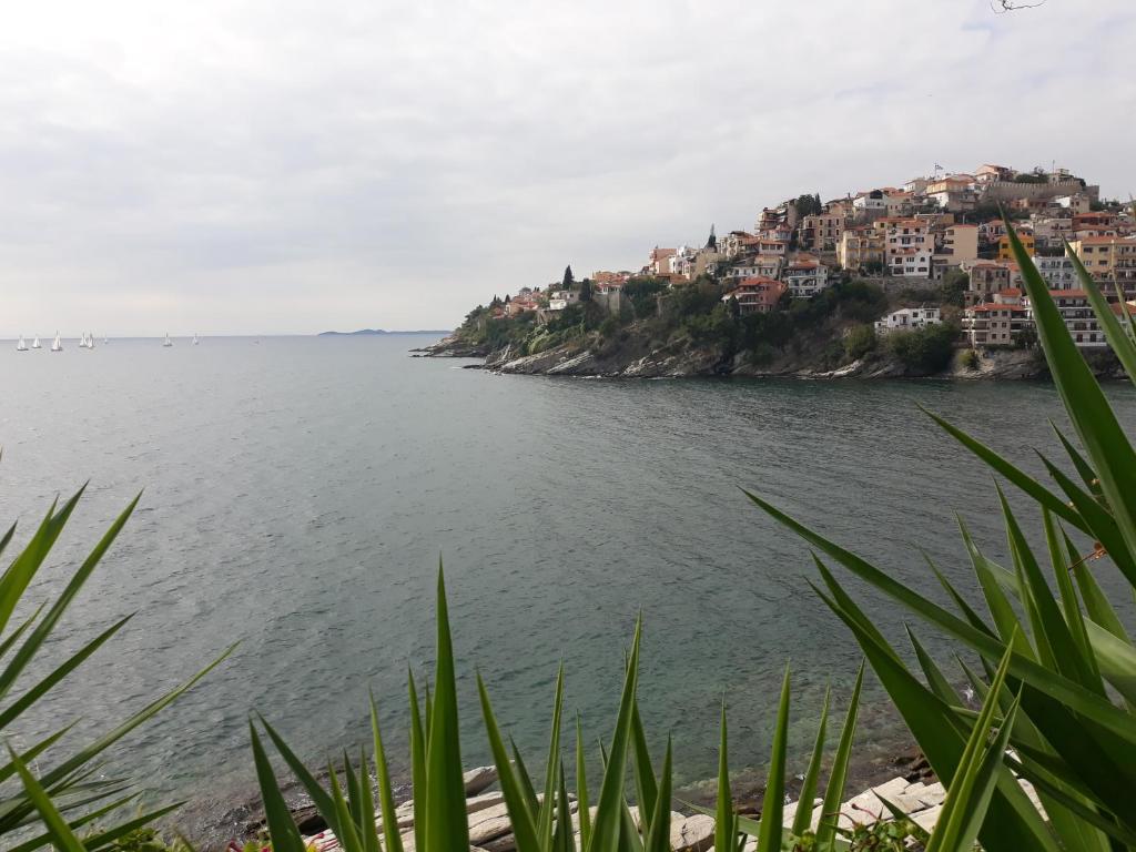 Príroda v okolí vily