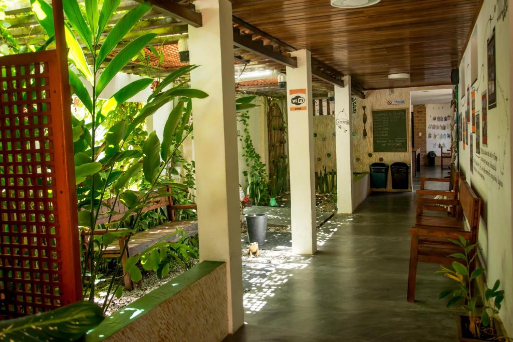 Casa do Sertão - Vila Aju