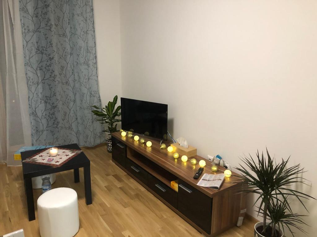 TV a/nebo společenská místnost v ubytování Apartmán Jitka - Slunečná louka