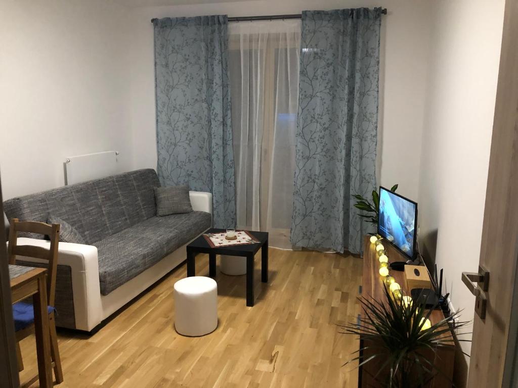 TV a/nebo společenská místnost v ubytování Apartmán Jitka - Slunečná louka
