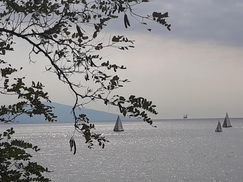 Príroda v okolí vily