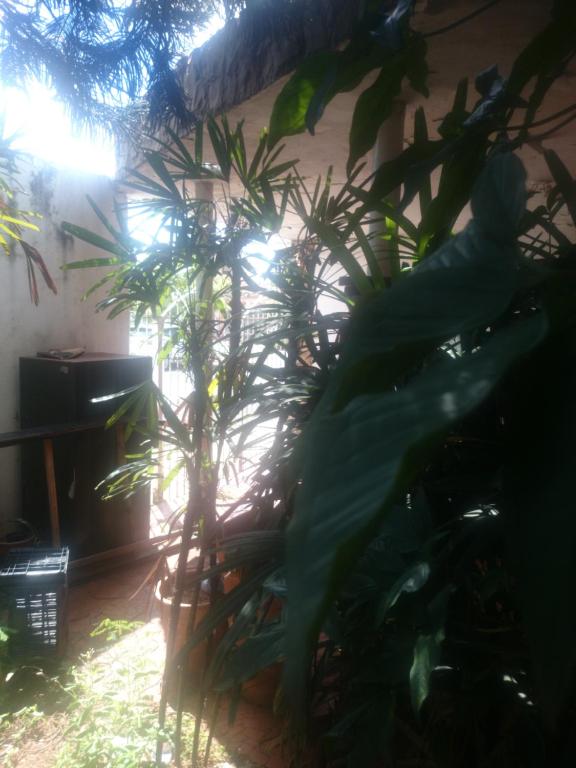  Casa Central Ribeirao
