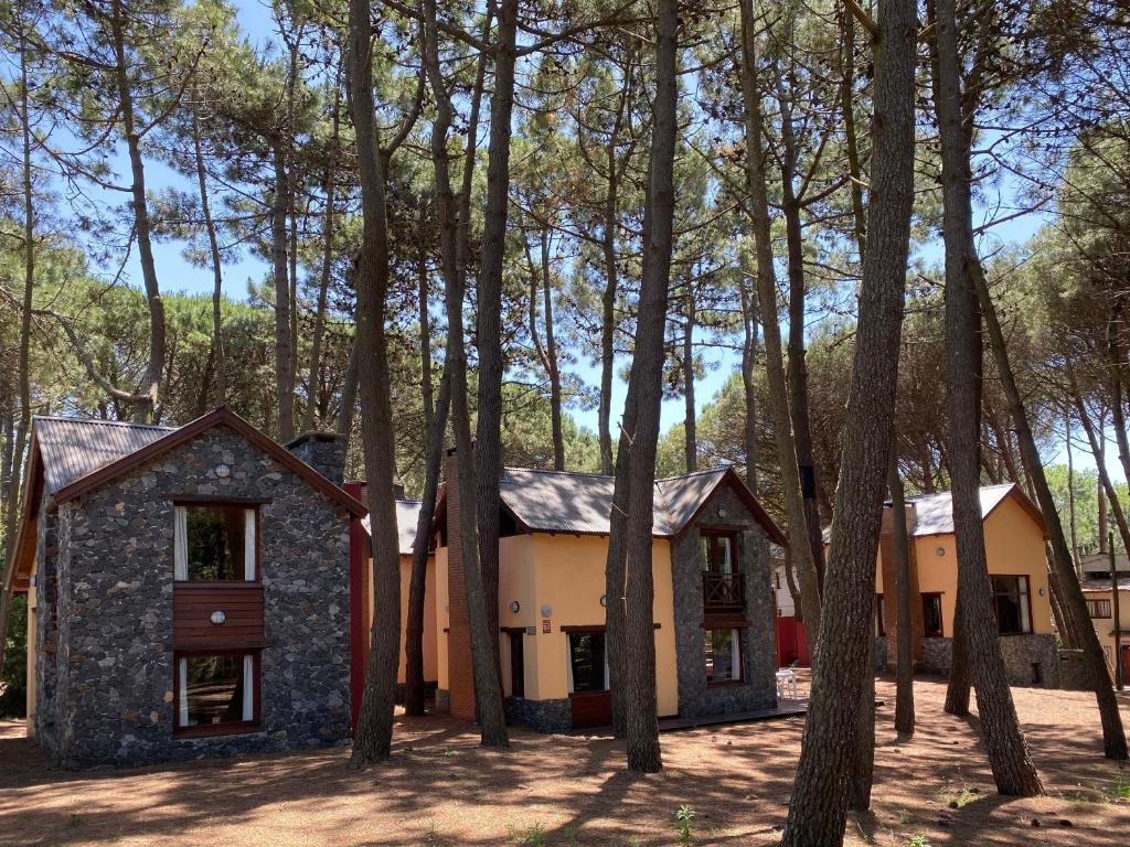 dom w lesie z drzewami w obiekcie Complejo de Cabañas Tunquelen w mieście Mar de las Pampas