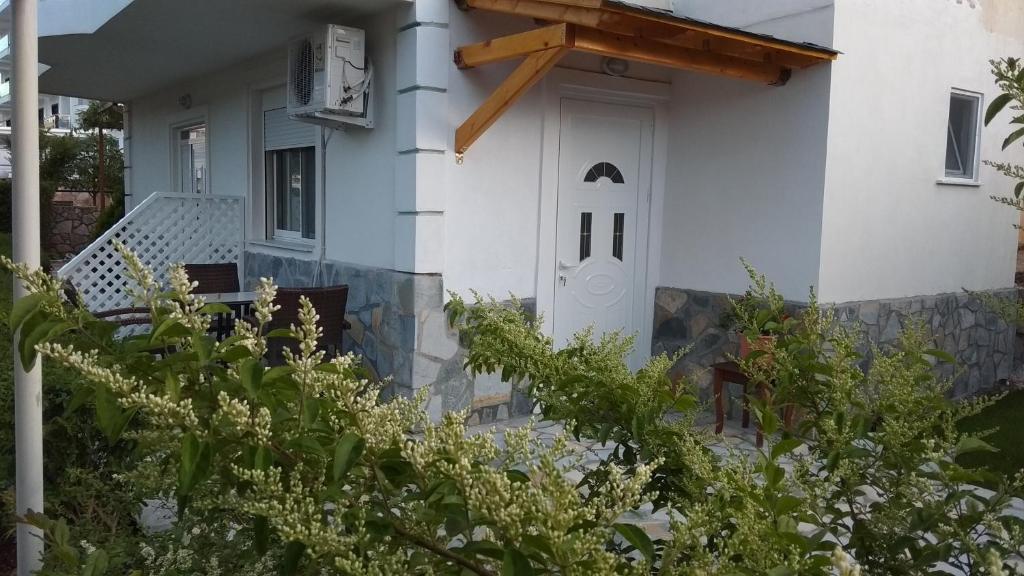 Zahrada ubytování Hotel Villa Ambra