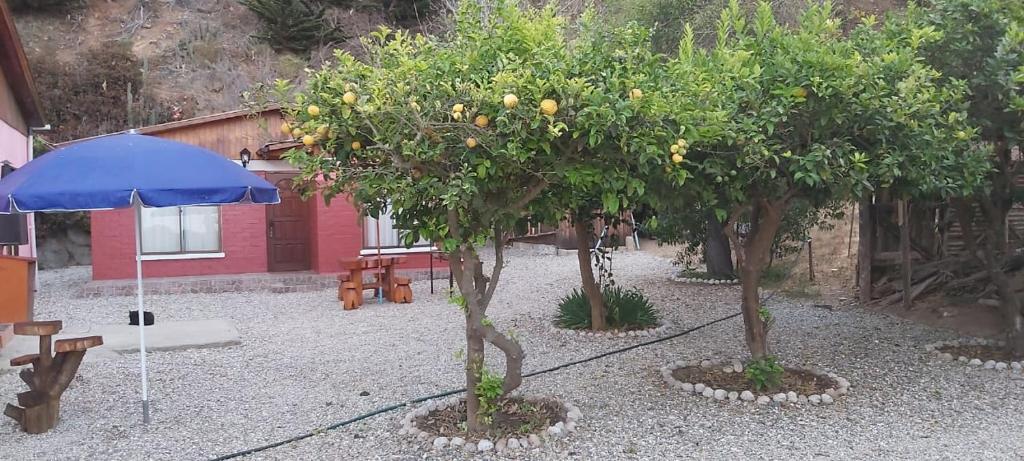 Billede fra billedgalleriet på Cabaña Pizarro Horcón i Horcón