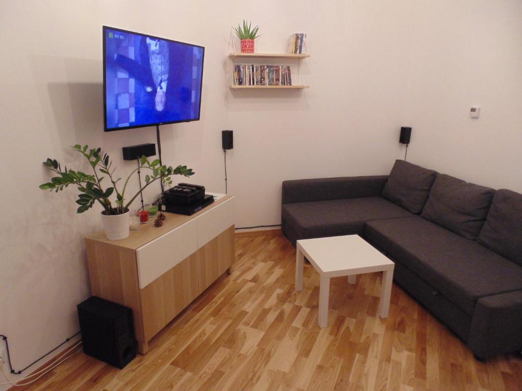 sala de estar con sofá y TV de pantalla plana en Apartment Lenartowicza, en Cracovia