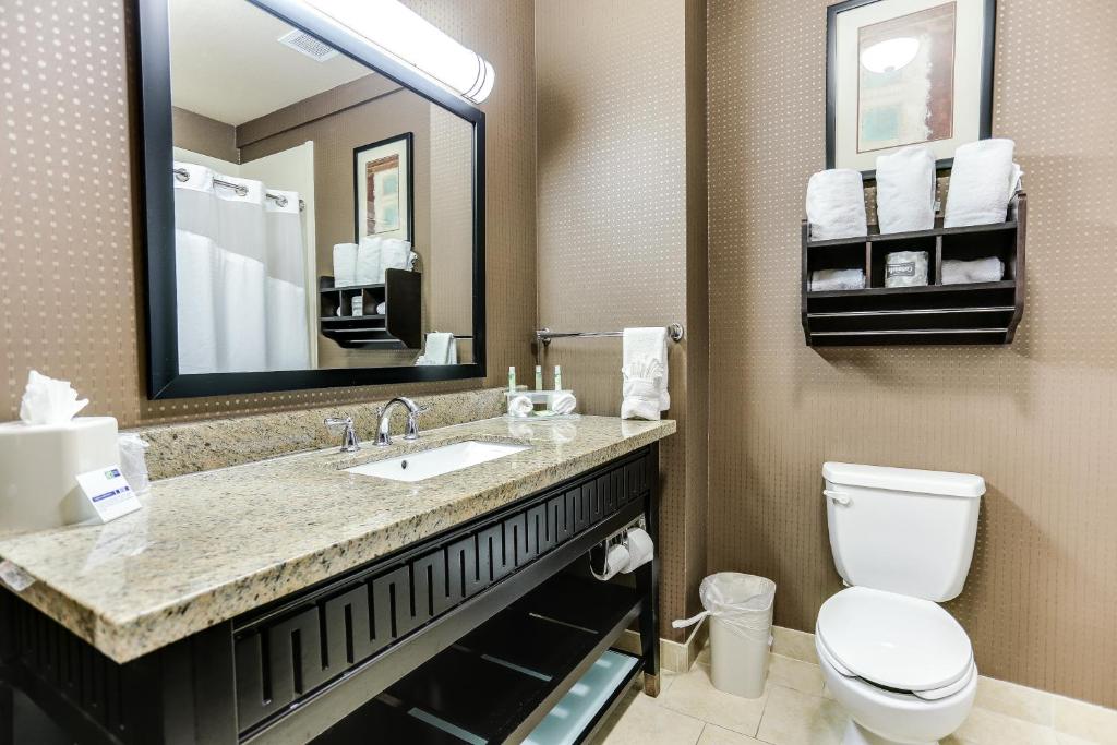 Holiday Inn Express Hotel & Suites Huntsville by IHG - 特大号床间