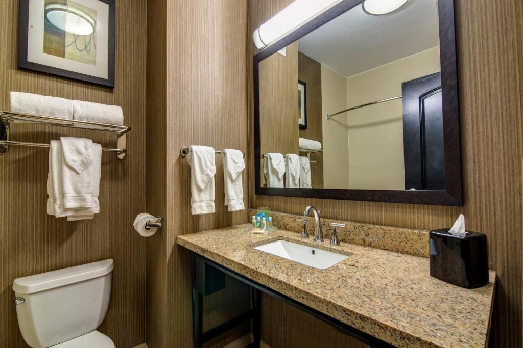 Holiday Inn Express Hotel & Suites Huntsville by IHG - 标准特大号床间