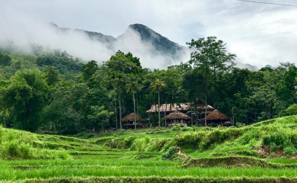 Lanskap alam di dekat losmen