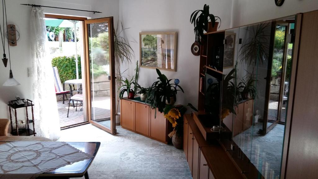 una sala de estar con plantas y un gran centro de entretenimiento en Ferienwohnung Törpsch, en Pirna