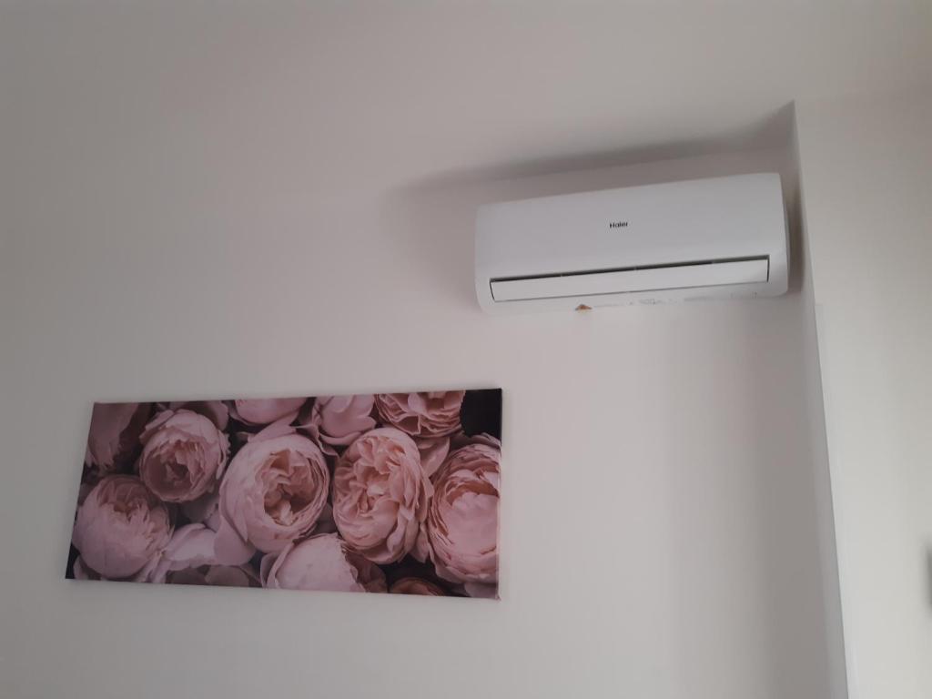 a picture of a bunch of pink roses in a room at San Marco Beach App Libeccio in Agropoli