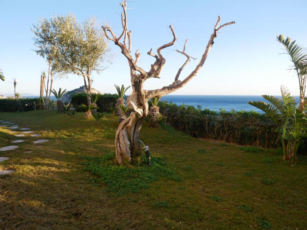 Paesaggio naturale nelle vicinanze dell'hotel
