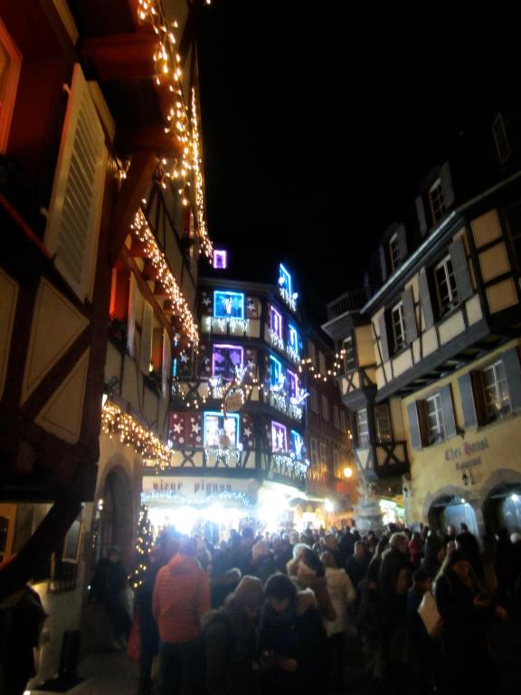 Le Riesling Colmar centre Charmant appartement avec terrasse et parking gratuit – photo 52