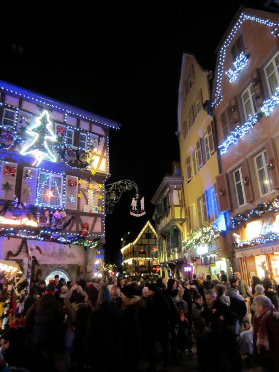 Le Riesling Colmar centre Charmant appartement avec terrasse et parking gratuit – photo 50