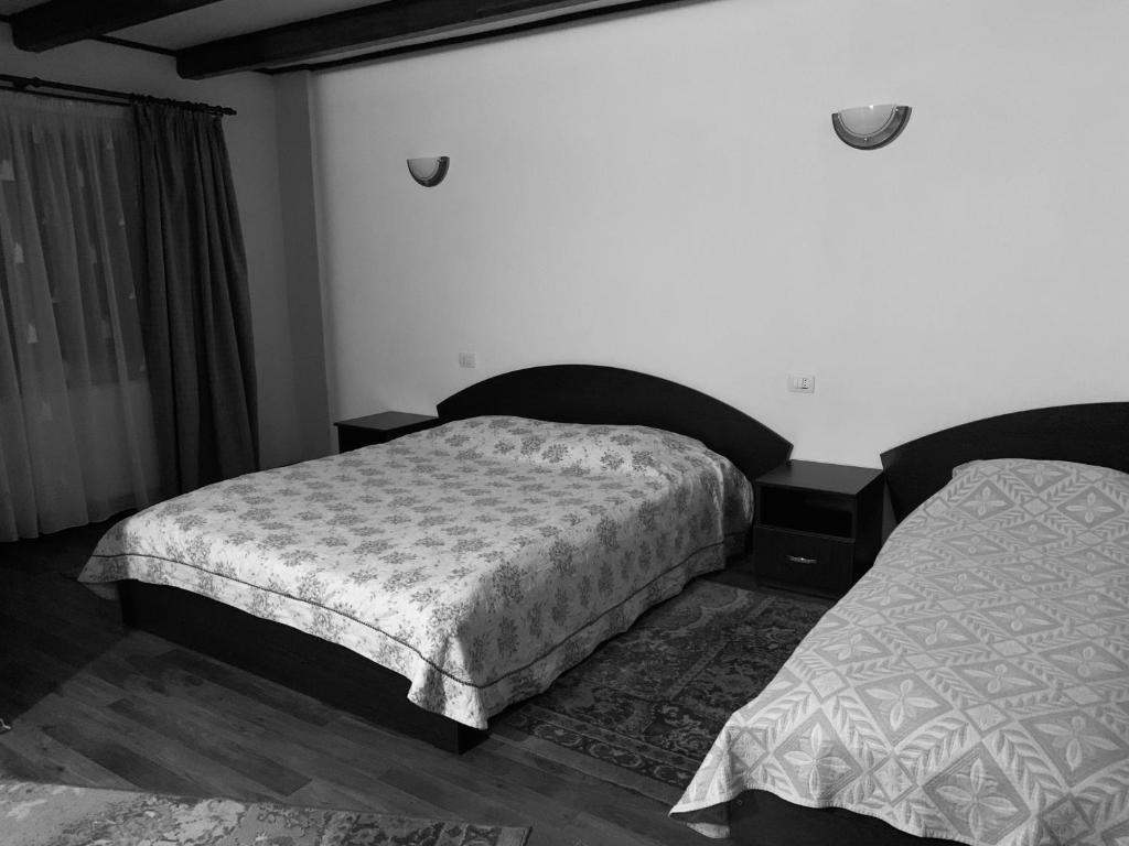 Postel nebo postele na pokoji v ubytování Pensiunea Pietrosul