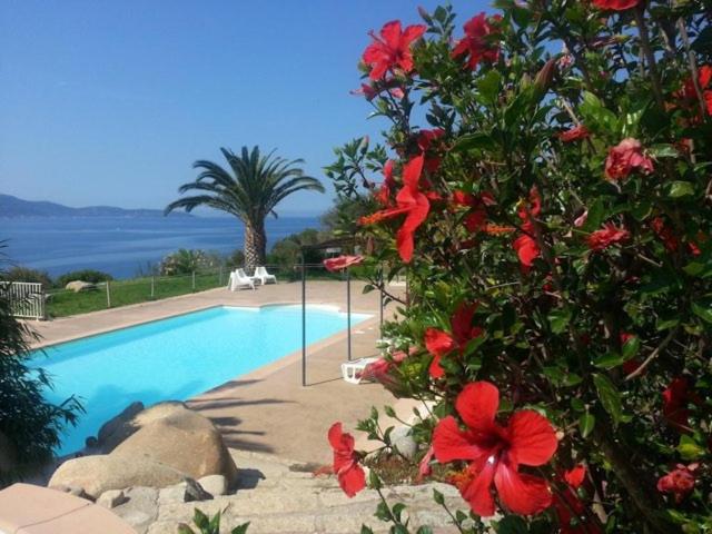 una piscina con flores rojas delante de ella en Mini villa n2, en Olmeto