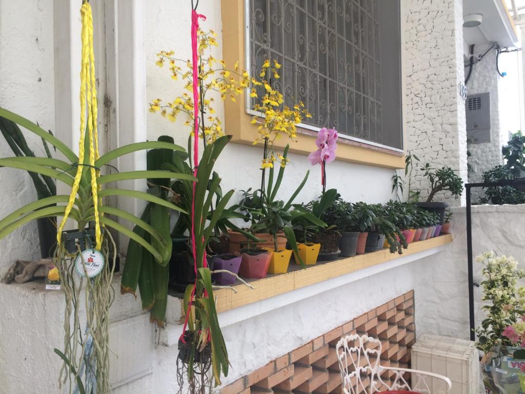  Hostel Ipê