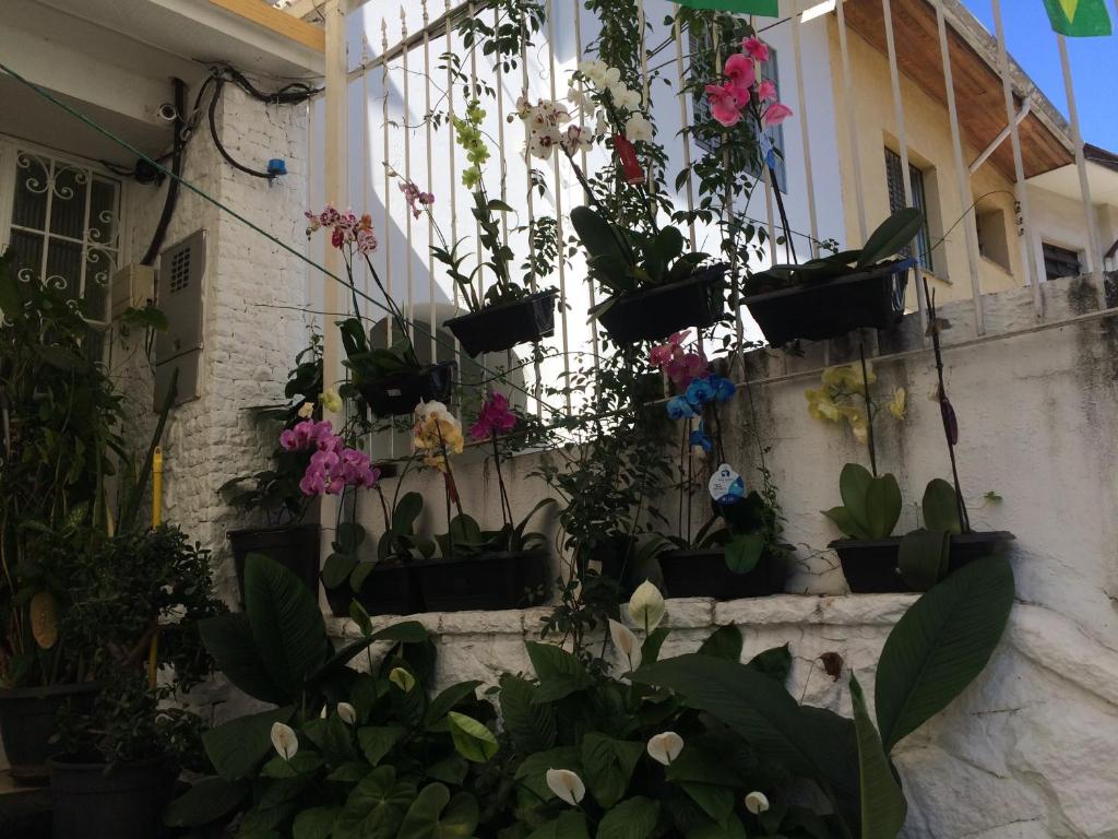  Hostel Ipê