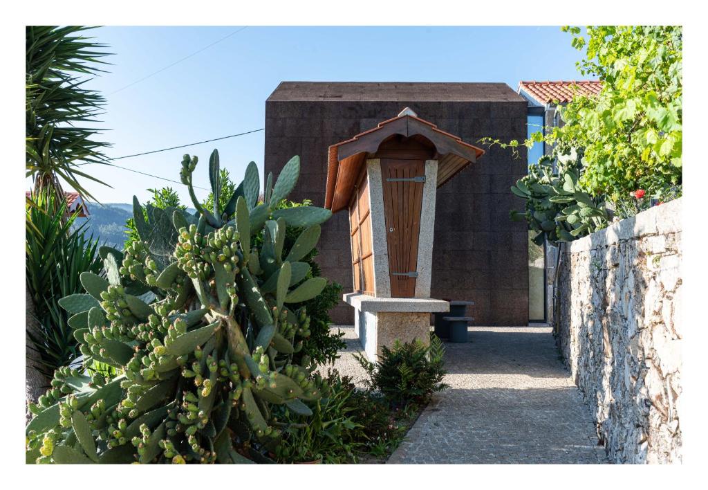 a small house with a cactus at Eira dos Canastros in Sever do Vouga