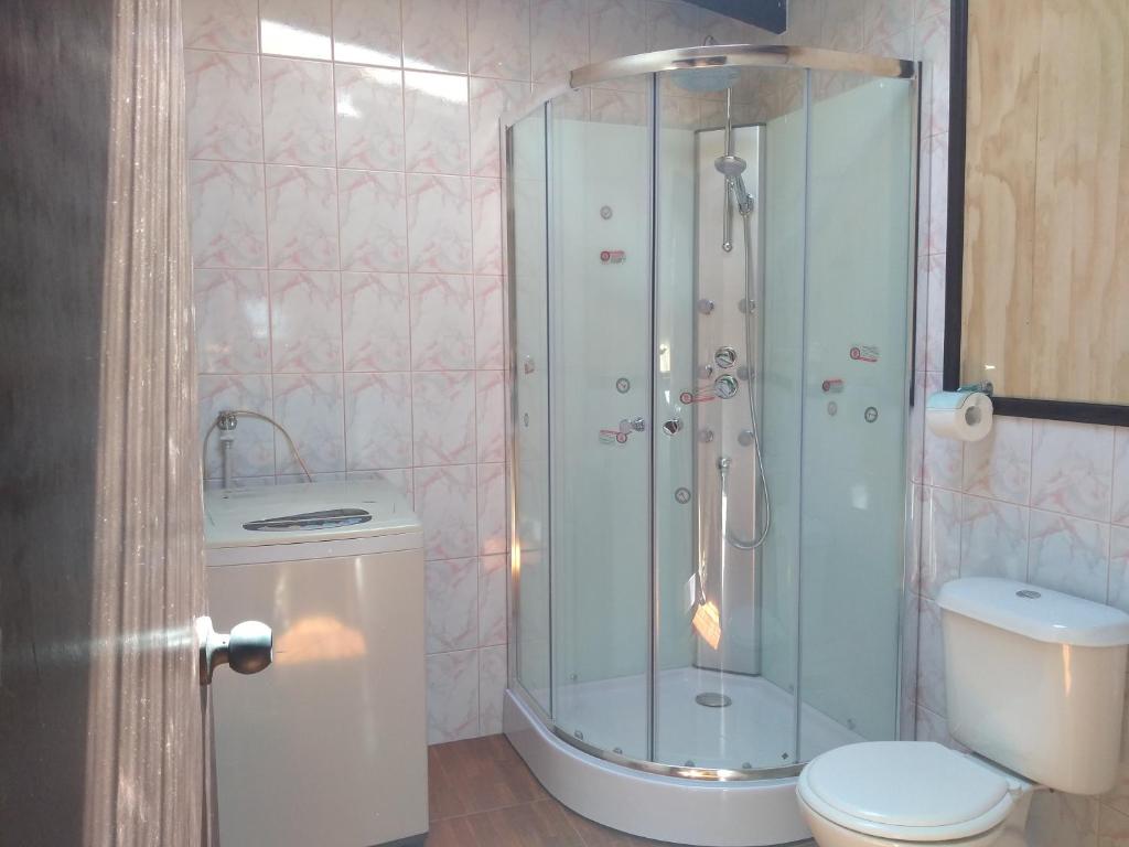 a bathroom with a shower and a toilet at Cabanas Yessi in Castro