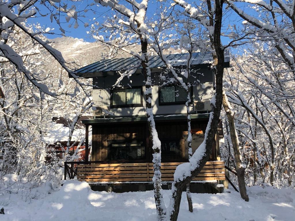 una cabaña de madera en la nieve en el bosque en Ryder's House with FREE use of 4wd car en Hakuba