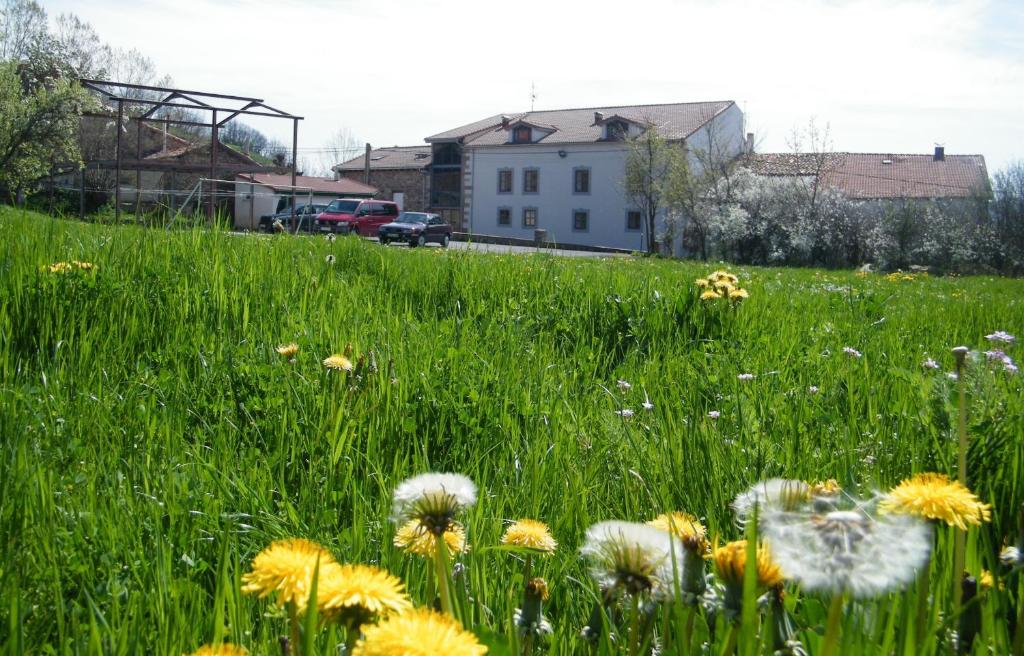 Vonkajšia záhrada v ubytovaní Alojamiento rural Las Indianas