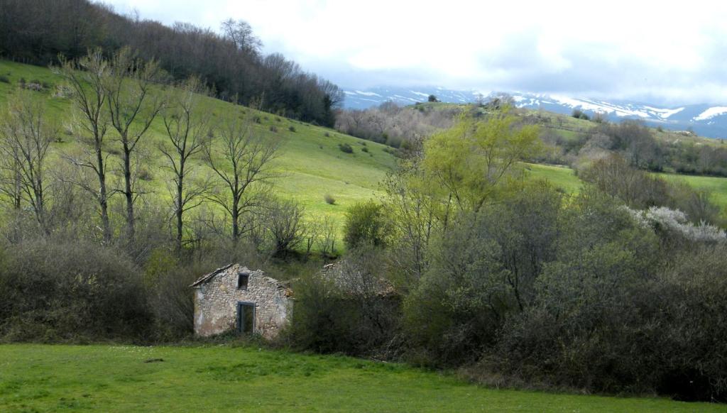 Príroda v okolí hostela