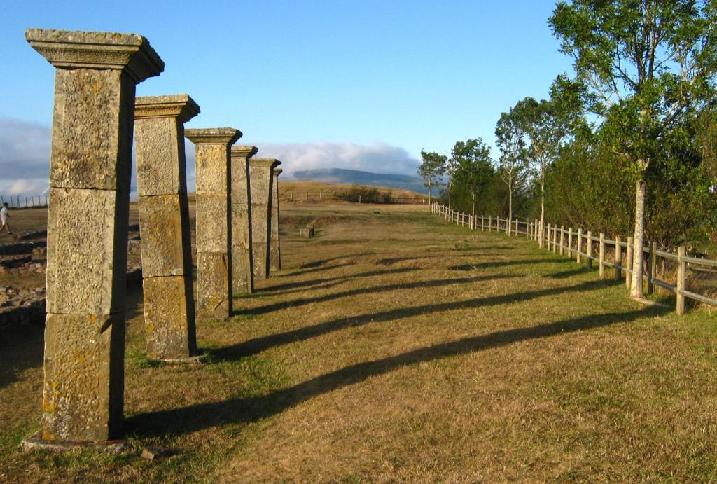 Príroda v okolí hostela