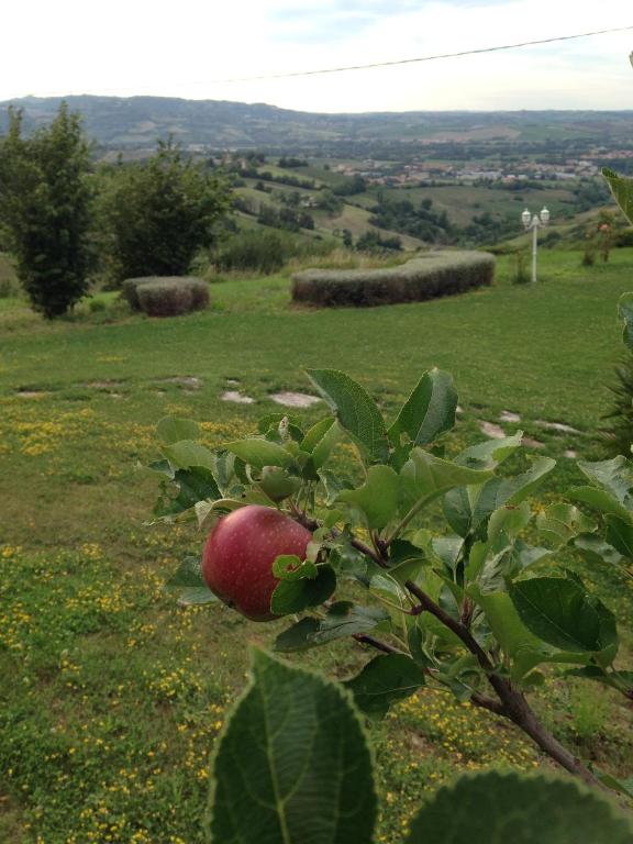 Zdjęcie z galerii obiektu Panoramic Villa Italy w mieście Ripe