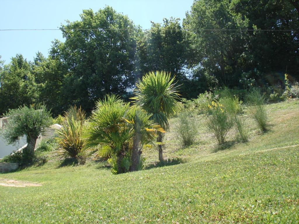 Zdjęcie z galerii obiektu Panoramic Villa Italy w mieście Ripe
