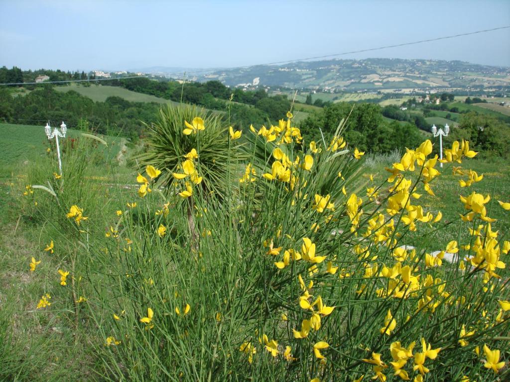 Zdjęcie z galerii obiektu Panoramic Villa Italy w mieście Ripe