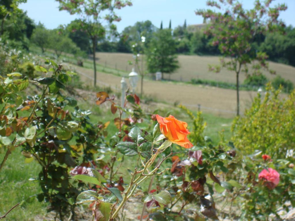 Zdjęcie z galerii obiektu Panoramic Villa Italy w mieście Ripe