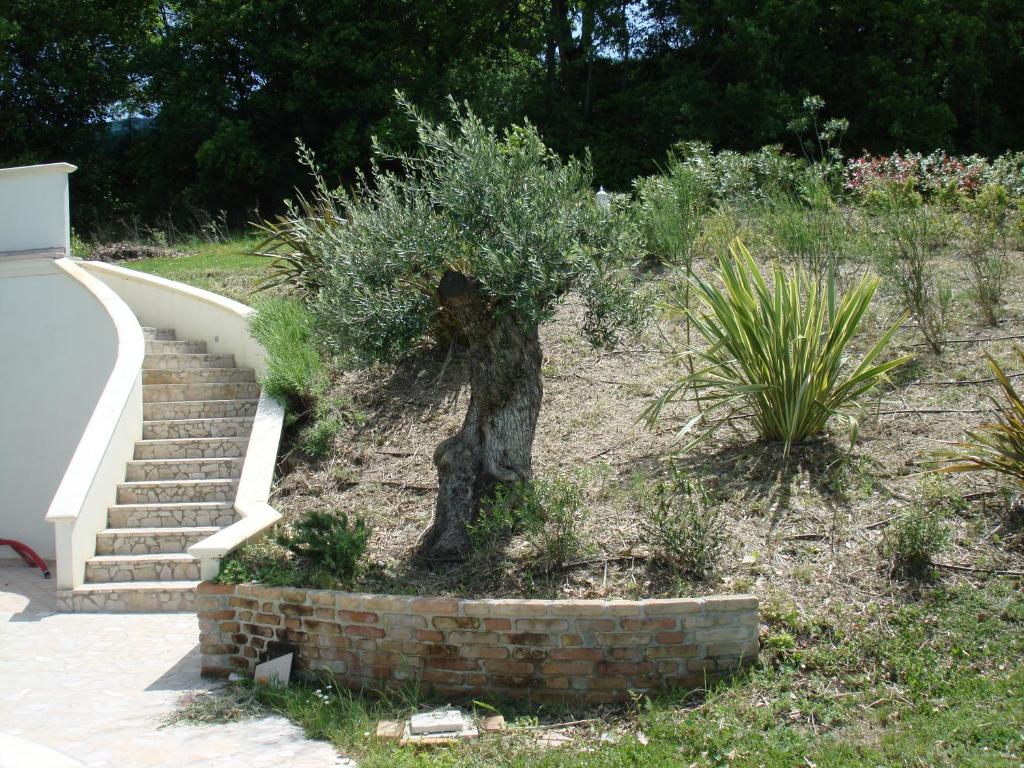 Zdjęcie z galerii obiektu Panoramic Villa Italy w mieście Ripe
