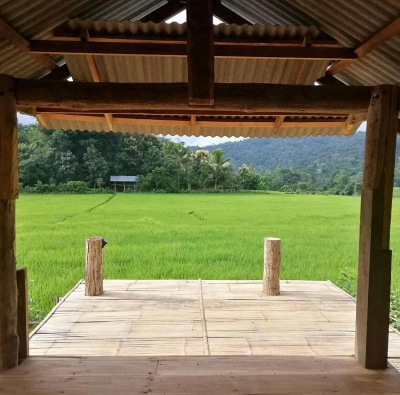 a view of a large field of green grass at Chinopuu Hut Homestay Muangkong ชิโนปู ฮัท โฮมสเตย์ เมืองคอง เชียงดาว in Mueang Khong