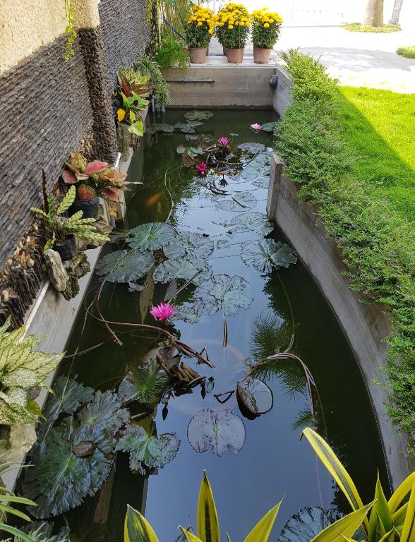 Zahrada ubytování HOMESTAY VILLA