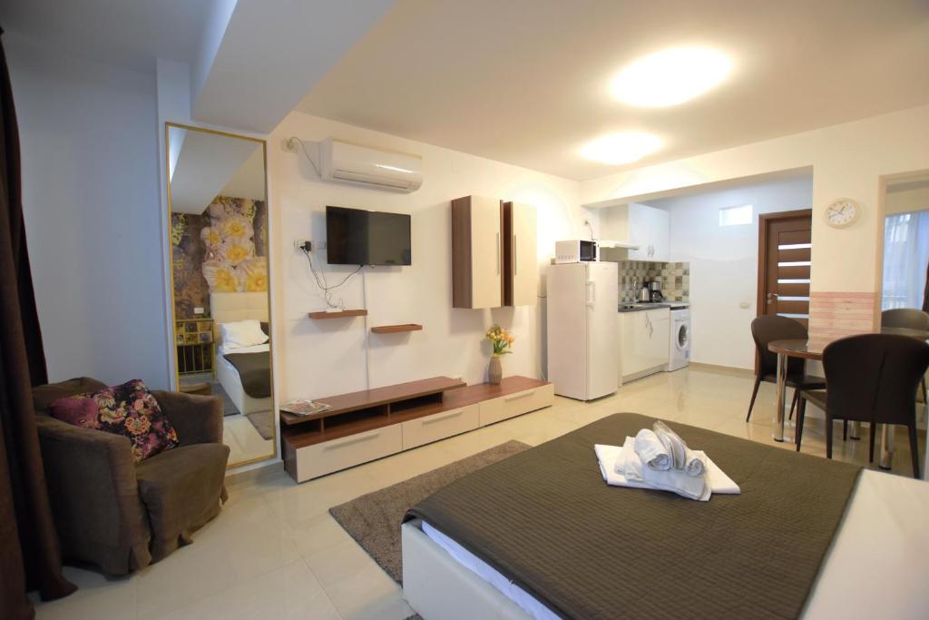 Decebal Residence Apartments - Studio Apartment