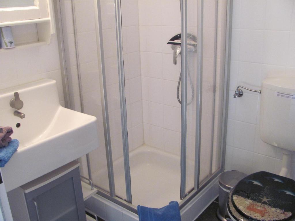 ein Bad mit einer Dusche, einem Waschbecken und einem WC in der Unterkunft Ferienhof Severin in Reinsbüttel