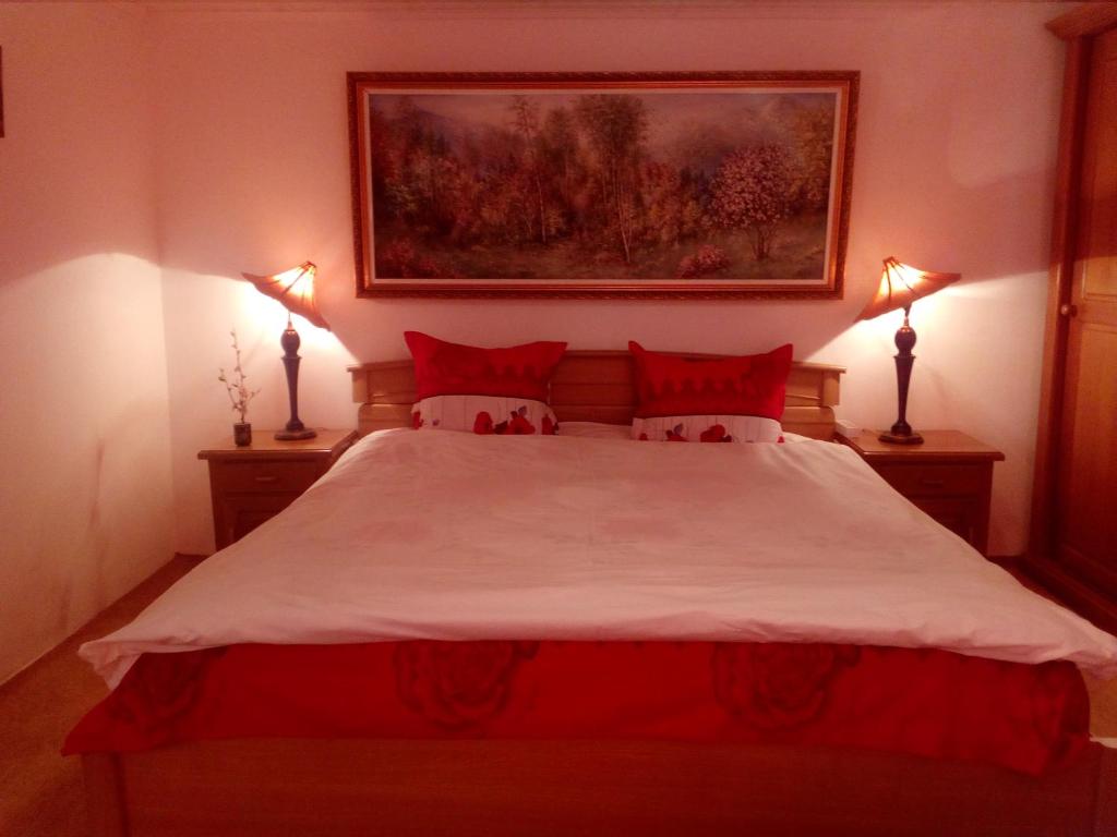 a bedroom with a large bed with red pillows at Pensiunea Magnolia in Prejmer
